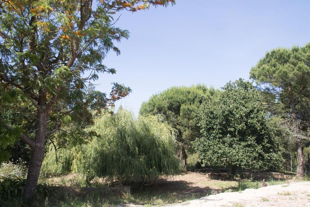 Quinta Da Galeana Dreaming Bed & Breakfast Lourinhã Eksteriør bilde