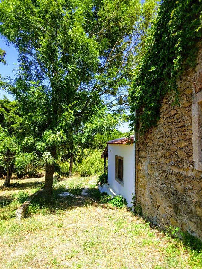 Quinta Da Galeana Dreaming Bed & Breakfast Lourinhã Eksteriør bilde