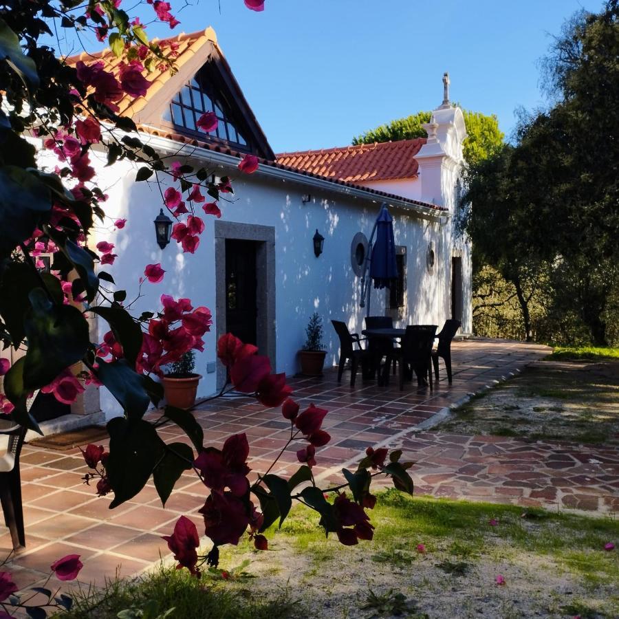 Quinta Da Galeana Dreaming Bed & Breakfast Lourinhã Eksteriør bilde